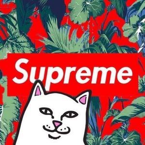 Meet your Posher, Monty